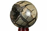 Polished Septarian Geode Sphere - Madagascar #134439-2